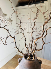 Load image into Gallery viewer, Twisted Hazel Branches Corylus Branches Curly Twigs Corkscrew Natural Stems Autumn Tree Decor Wabi Sabi Dry Twigs For Vase