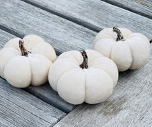 Load image into Gallery viewer, White Velvet Faux Pumpkins Set Of 3 Fabric Mini Pumpkin Fall Seasonal Decoration Halloween Decorations Autumn Table Decor Styling