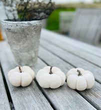 Load image into Gallery viewer, White Velvet Faux Pumpkins Set Of 3 Fabric Mini Pumpkin Fall Seasonal Decoration Halloween Decorations Autumn Table Decor Styling