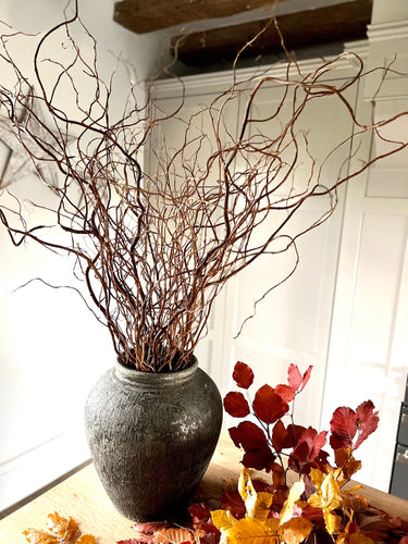 Natural Twisted Willow Branches – Tall Curly Twigs for Vase Decor