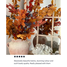 Load image into Gallery viewer, Real Preserved Copper Beech Bunch Autumn Shades Dried Autumnal Foliage Leaves Length approx 70cm