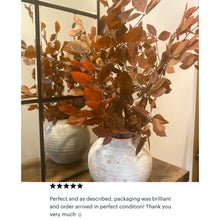 Load image into Gallery viewer, Real Preserved Copper Beech Bunch Autumn Leaves Dried Autumnal Foliage Leaves Fall Autumn Bouquet Dried Vase Arrangement Autumn Decor