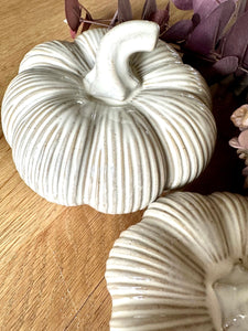 Cream Ceramic Pumpkin Fall Seasonal Decoration Halloween Decorations Autumn Table Decor Styling Available In Two Sizes