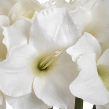Load image into Gallery viewer, Faux White Amaryllis Stem