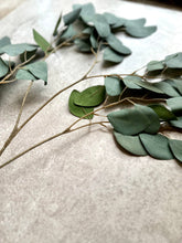 Load image into Gallery viewer, Faux Eucalyptus Branch Artificial Green Foliage Tall Branched Eucalyptus Stem Approx 95cm