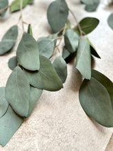 Load image into Gallery viewer, Faux Eucalyptus Branch Artificial Green Foliage Tall Branched Eucalyptus Stem Approx 95cm