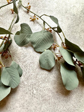 Load image into Gallery viewer, Artificial Seeded Eucalyptus Berried Branch – 70cm Faux Greenery Stem
