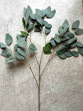 Load image into Gallery viewer, Faux Eucalyptus Branch Artificial Green Foliage Tall Branched Eucalyptus Stem Approx 95cm