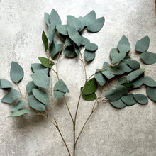 Load image into Gallery viewer, Faux Eucalyptus Branch Artificial Green Foliage Tall Branched Eucalyptus Stem Approx 95cm