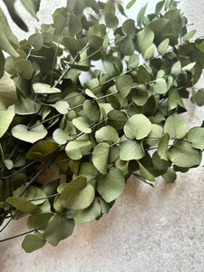 Real Preserved Eucalyptus Cinerea Bunch Everlasting Greenery Dried Foliage Leaves Moss Green Colour Length approx 70cm