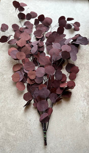 Real Preserved Eucalyptus Populus Bunch Burgundy Everlasting Greenery Dried Silver Dollar Foliage Red Leaves Length approx 50-60cm