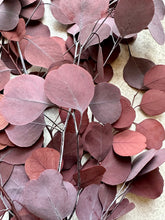 Load image into Gallery viewer, Real Preserved Eucalyptus Populus Bunch Burgundy Everlasting Greenery Dried Silver Dollar Foliage Red Leaves Length approx 50-60cm