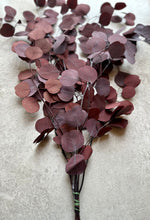 Load image into Gallery viewer, Real Preserved Eucalyptus Populus Bunch Burgundy Everlasting Greenery Dried Silver Dollar Foliage Red Leaves Length approx 50-60cm