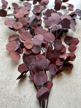 Load image into Gallery viewer, Real Preserved Eucalyptus Populus Bunch Burgundy Everlasting Greenery Dried Silver Dollar Foliage Red Leaves Length approx 50-60cm