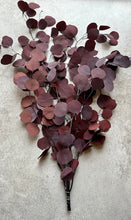 Load image into Gallery viewer, Real Preserved Eucalyptus Populus Bunch Deep Burgundy Everlasting Greenery Dried Silver Dollar Foliage Leaves Length approx 50-60cm