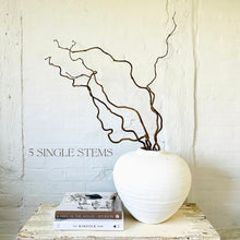 Load image into Gallery viewer, Contorted Hazel Corylus Branches Curly Tall Twigs For Vase Corkscrew Natural Twisted Stems Minimalist Japandi Decor Wabi Sabi 90-100cm Long