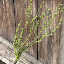 Load image into Gallery viewer, Artificial Mossed Branch Faux Woodland Moss Textured Woody Stem Natural Look Realistic Twig With Fake Green Moss For Floral Displays