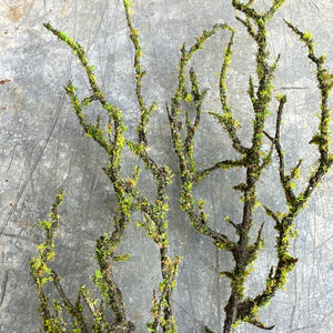 Artificial Mossed Branch Faux Woodland Moss Textured Woody Stem Natural Look Realistic Twig With Fake Green Moss For Floral Displays Autumn