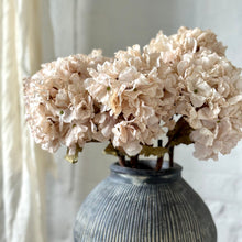 Load image into Gallery viewer, Artificial Hydrangea Dried Look Flowers Vintage Cream Faux Hydrangea Flower Dried Style Wedding Bouquet Vintage