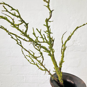 Artificial Mossed Branch Faux Woodland Moss Textured Woody Stem Natural Look Realistic Twig With Fake Green Moss For Floral Displays Autumn