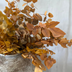 Preserved Eucalyptus Cinerea | Yellow Ochre | Autumn Leaves