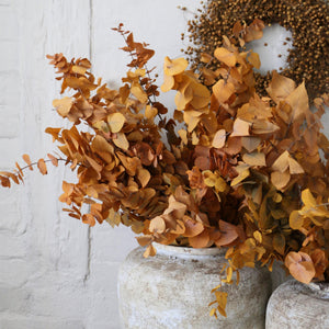 Preserved Eucalyptus Cinerea | Yellow Ochre | Autumn Leaves