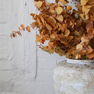 Preserved Eucalyptus Cinerea | Yellow Ochre | Autumn Leaves