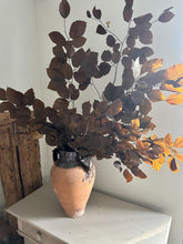 Load image into Gallery viewer, Real Preserved Beech Branches Autumn Leaves Dried Dark Brown Autumnal Foliage Leaves Autumn Bouquet Dried Vase Arrangement