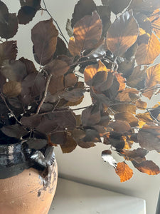 Real Preserved Beech Branches Autumn Leaves Dried Dark Brown Autumnal Foliage Leaves Autumn Bouquet Dried Vase Arrangement