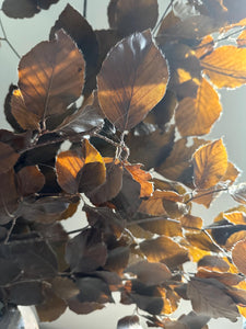 Real Preserved Beech Branches Autumn Leaves Dried Dark Brown Autumnal Foliage Leaves Autumn Bouquet Dried Vase Arrangement