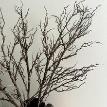 Load image into Gallery viewer, Artificial Winter Hawthorn Branch – 100cm Brown Faux Twig for Seasonal Vase Arrangements