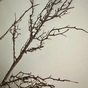 Artificial Winter Hawthorn Branch – 100cm Brown Faux Twig for Seasonal Vase Arrangements