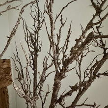 Load image into Gallery viewer, Artificial Winter Hawthorn Branch – 100cm Brown Faux Twig for Seasonal Vase Arrangements