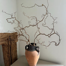 Load image into Gallery viewer, Twisted Hazel Branches Corylus Branches Curly Twigs Corkscrew Natural Stems Autumn Tree Decor Wabi Sabi Dry Twigs For Vase