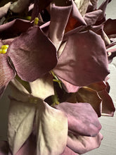 Load image into Gallery viewer, Vintage Mulberry Artificial Hydrangea – Dried Look Faux Flower Stem
