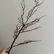 Load image into Gallery viewer, Artificial Winter Hawthorn Branch – 100cm Brown Faux Twig for Seasonal Vase Arrangements