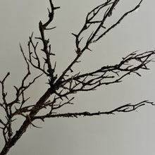 Load image into Gallery viewer, Faux Branch Brown Artificial Tall Twigs For Vase Floral Arrangement Twiggy Branches Seasonal Stems Artificial Tree Branches 100cm