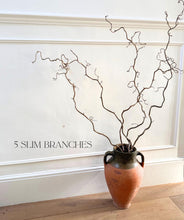 Load image into Gallery viewer, Contorted Hazel Corylus Branches Curly Twigs Corkscrew Natural Twisted Stems Minimalist Japandi Decor Wabi Sabi Twigs For Vase - SLIM STYLE