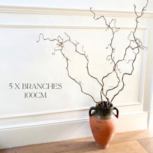 Load image into Gallery viewer, Twisted Hazel Branches X 5 Stems Corylus Branches Curly Twigs Corkscrew Natural Stems Minimalist Japandi Decor Wabi Sabi Dry Twigs For Vase