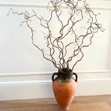 Load image into Gallery viewer, Contorted Hazel Corylus Branches Curly Twigs Corkscrew Natural Twisted Stems Minimalist Japandi Decor Wabi Sabi Twigs For Vase - SLIM STYLE