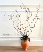 Load image into Gallery viewer, Contorted Hazel Corylus Branches Curly Twigs Corkscrew Natural Twisted Stems Minimalist Japandi Decor Wabi Sabi Twigs For Vase - SLIM STYLE
