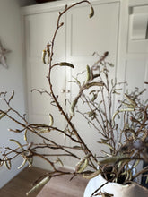 Load image into Gallery viewer, Artificial Birch Twigs With Catkins Branches For Natural Vase Arrangement Faux Birch Spray For Spring Decor