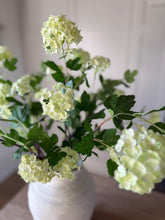 Load image into Gallery viewer, Artificial Green Viburnum Branch – 55cm Faux Spring Stem for Vase Arrangements