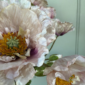 Artificial Poppy Flower Spray Faux Spring Blush Flowers Spring Icelandic Poppies Faux Stem