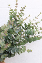 Load image into Gallery viewer, Artificial Eucalyptus Stem Faux Greenery Branch Real Touch Eucalyptus Cinerea for Home Decor Bouquets and Floral Arrangements