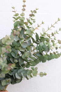 Artificial Eucalyptus Stem Faux Greenery Branch Real Touch Eucalyptus Cinerea for Home Decor Bouquets and Floral Arrangements