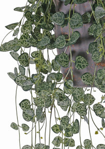 Artificial Trailing String Of Hearts Plant Faux Hanging Succulent Plant For Indoor Shelf Styling Trailing Plant Artificial Greenery