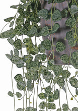 Load image into Gallery viewer, Artificial Trailing String Of Hearts Plant Faux Hanging Succulent Plant For Indoor Shelf Styling Trailing Plant Artificial Greenery