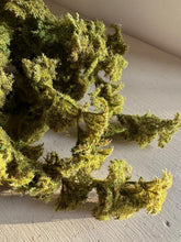 Load image into Gallery viewer, Lifelike Faux Trailing Green Moss for Home Decor Artificial Moss For Plant Topper Fake Moss For Pots Faux Green Decorative Moss Wall Art