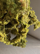 Load image into Gallery viewer, Lifelike Faux Trailing Green Moss for Home Decor Artificial Moss For Plant Topper Fake Moss For Pots Faux Green Decorative Moss Wall Art
